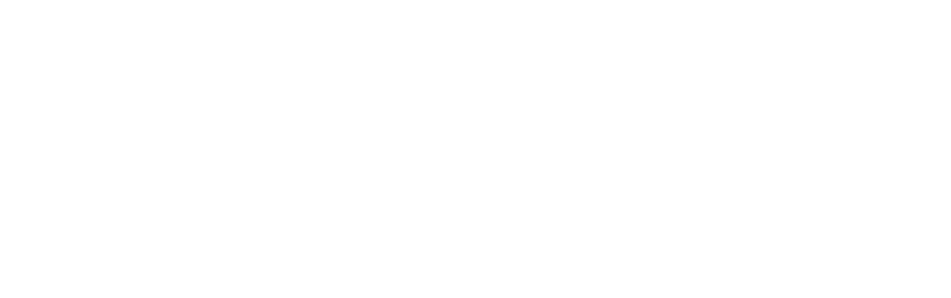 Raizz